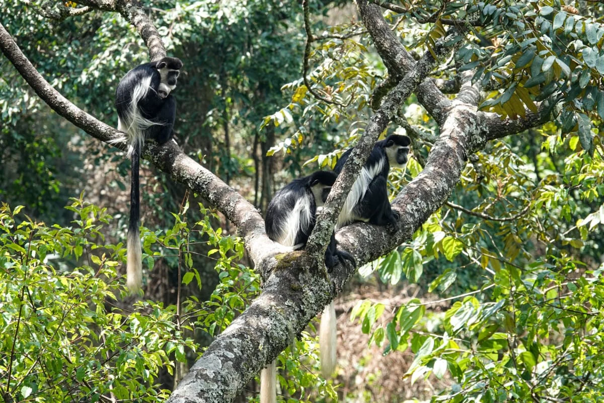 Ouganda-214.jpg