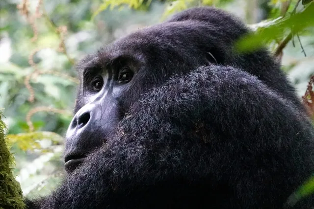 Ouganda-216.jpg