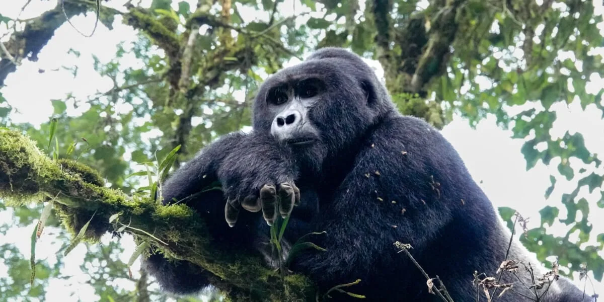 Ouganda-218.jpg