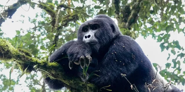 Ouganda-218.jpg