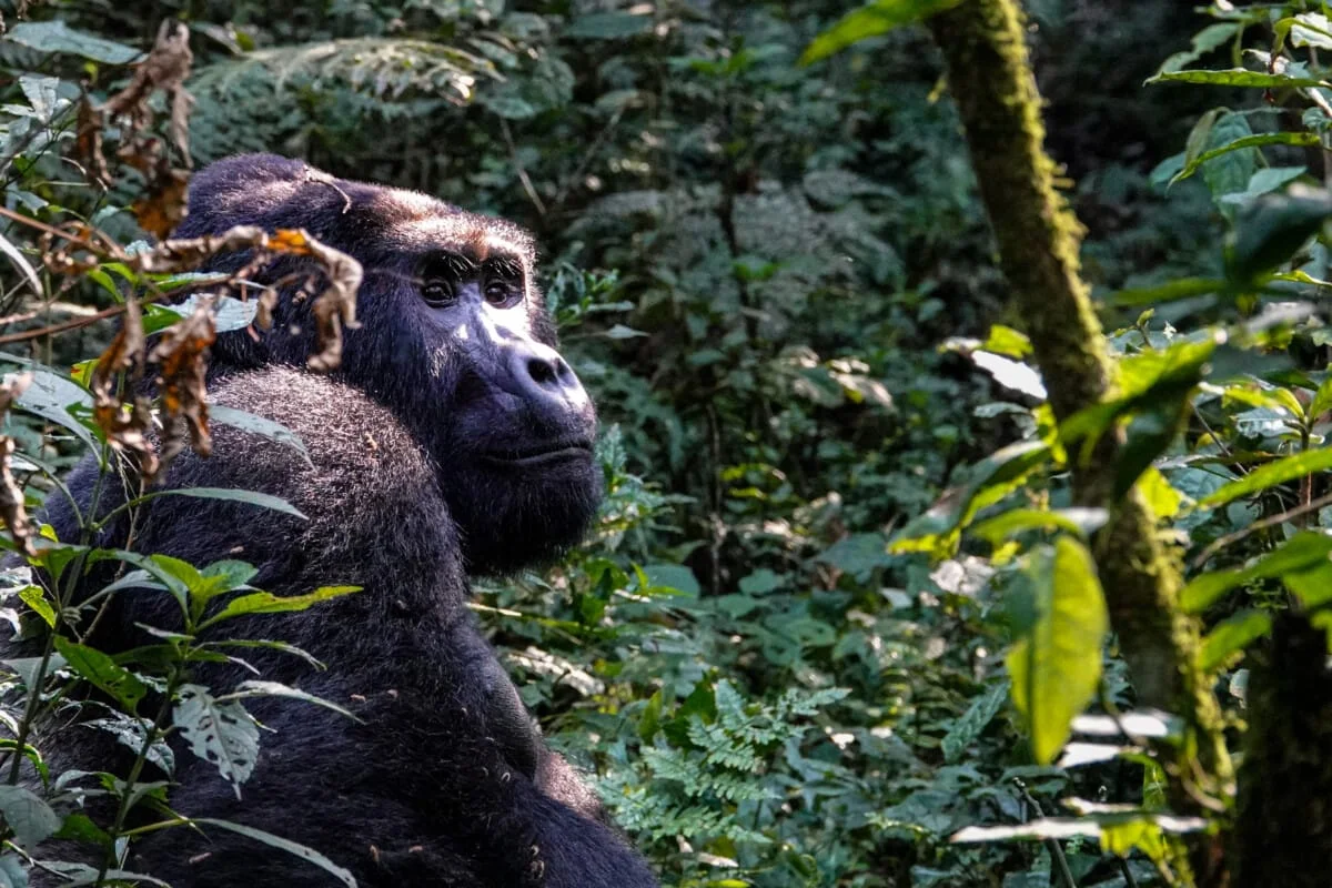 Ouganda-228.jpg