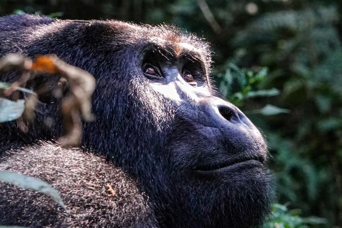Ouganda-229.jpg