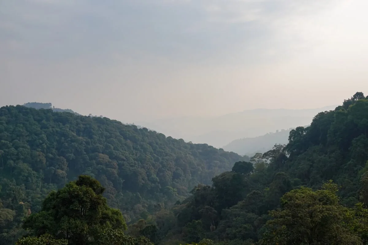 Ouganda-252.jpg
