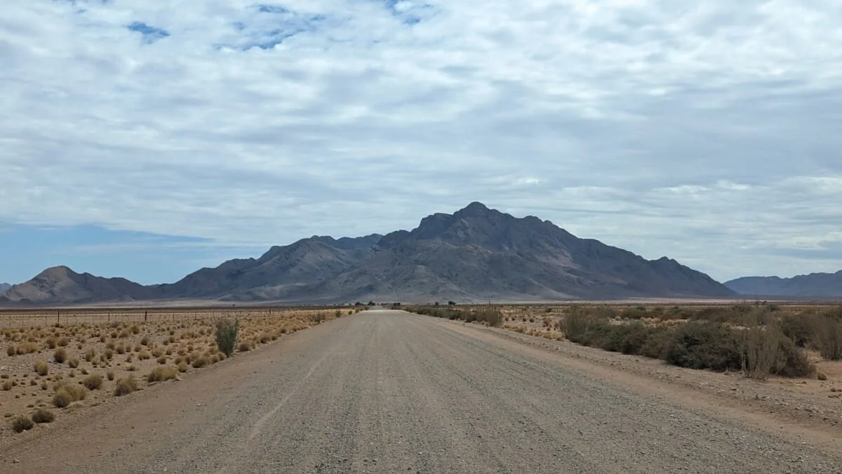 PXL_20240302_095703541.jpg