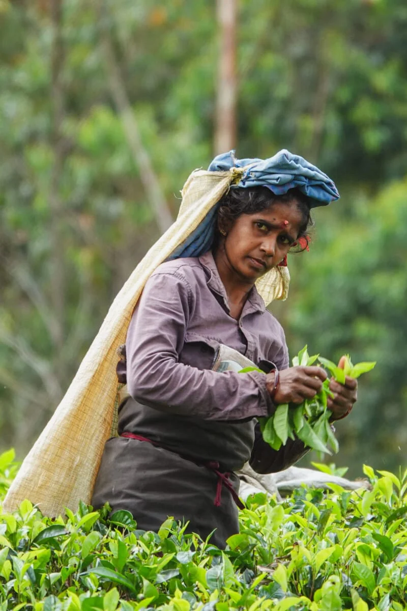 Sri-Lanka-151-1.jpg