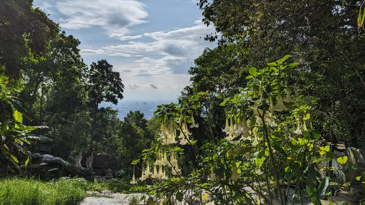 Chiang-Mai-106.jpg