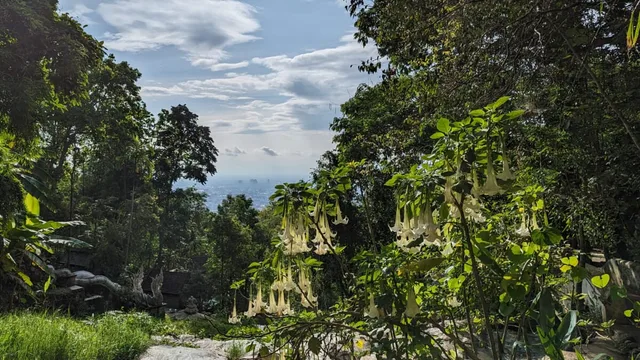 Chiang-Mai-106.jpg