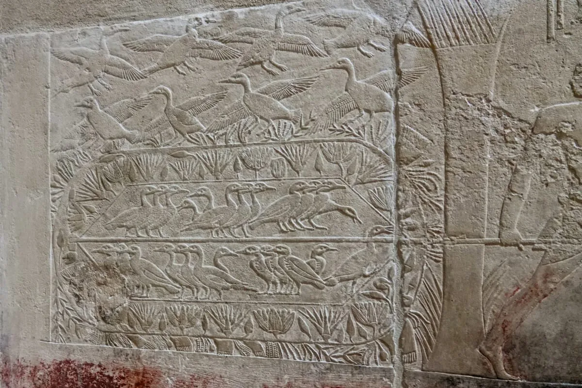 Egypte-053.jpg