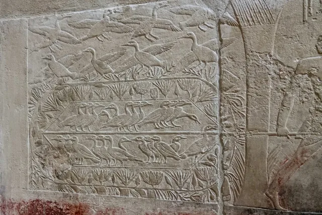 Egypte-053.jpg