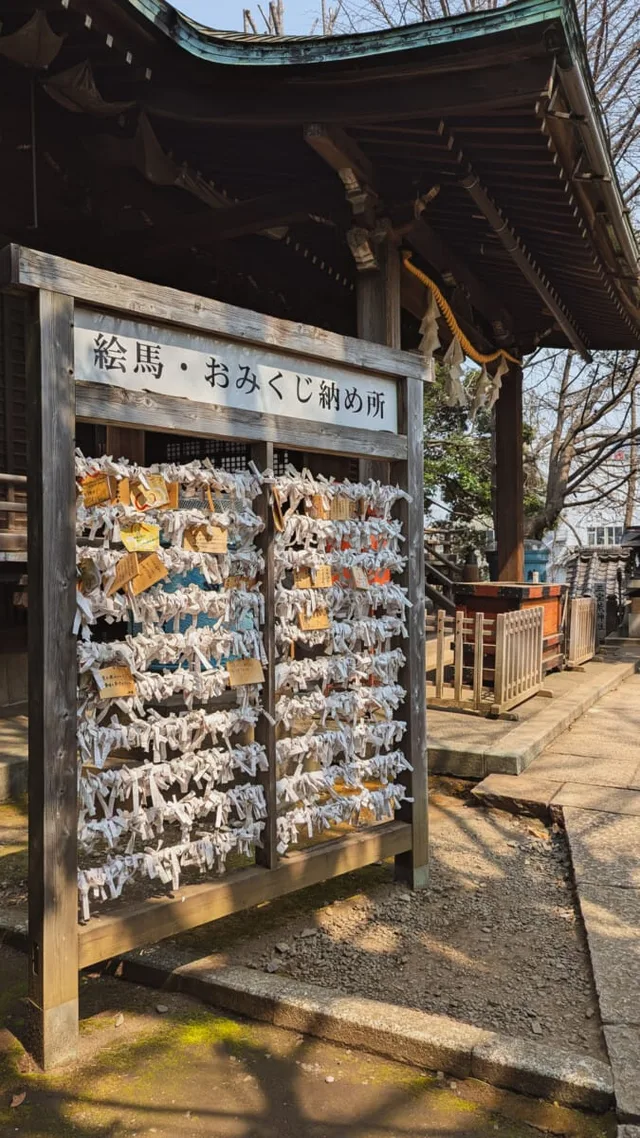 Japon-108.jpg