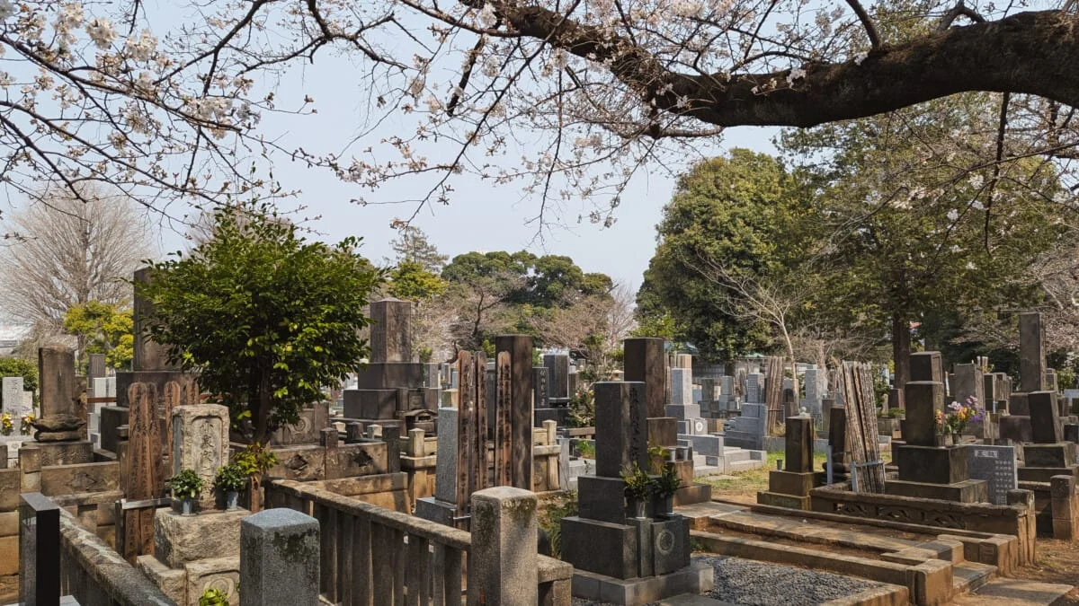 Japon-116.jpg