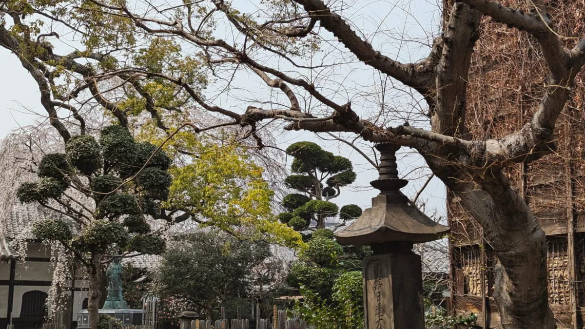 Japon-120.jpg