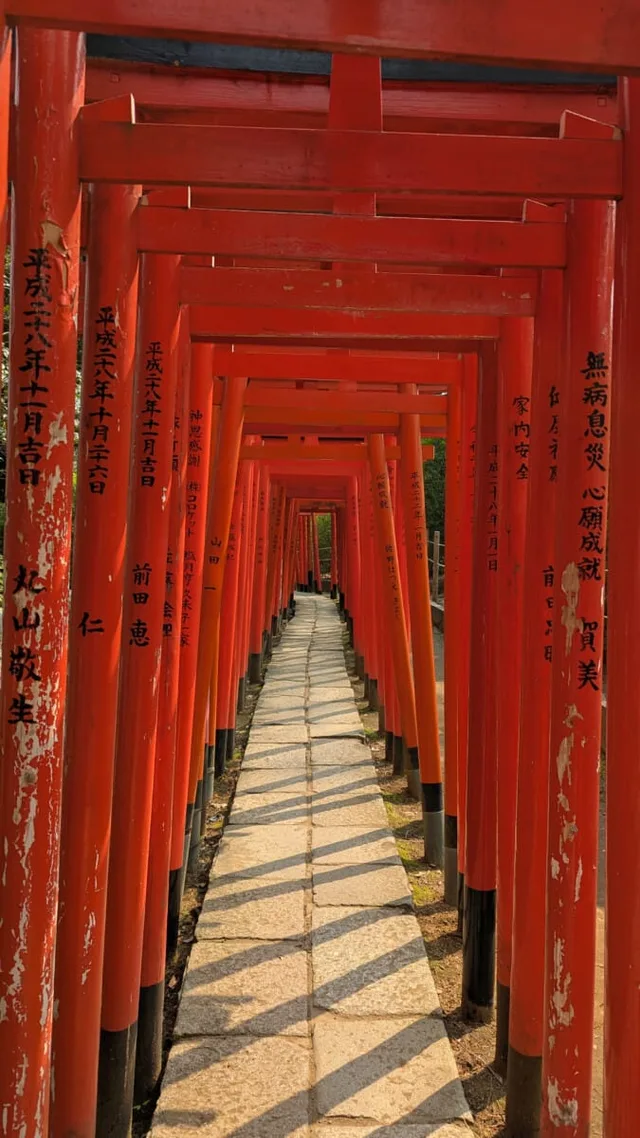 Japon-134.jpg