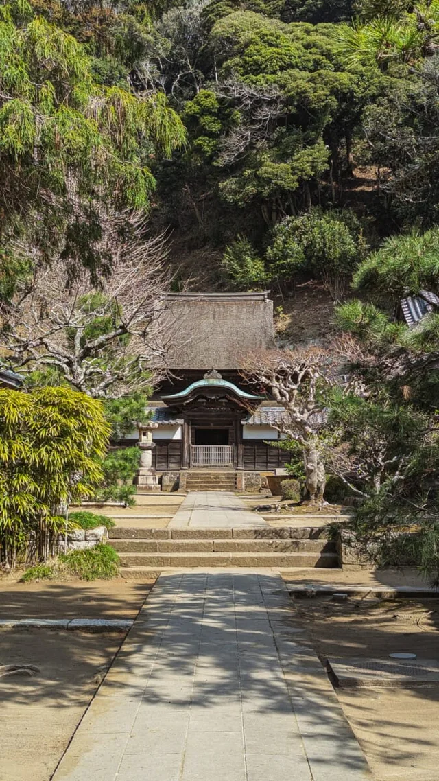 Japon-202.jpg
