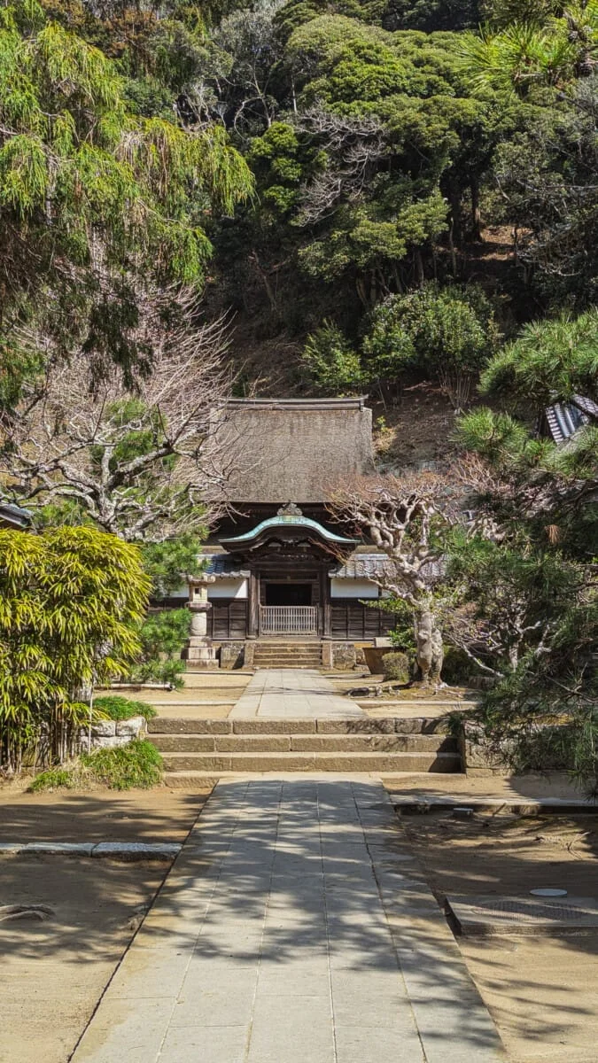 Japon-202.jpg