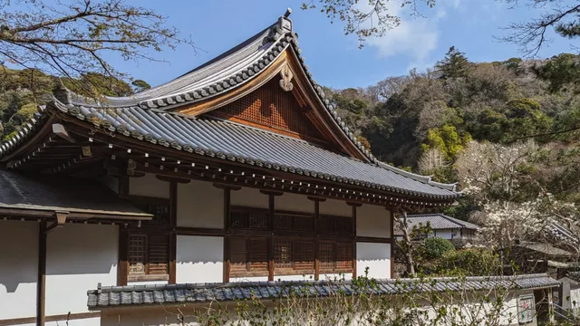 Japon-207.jpg