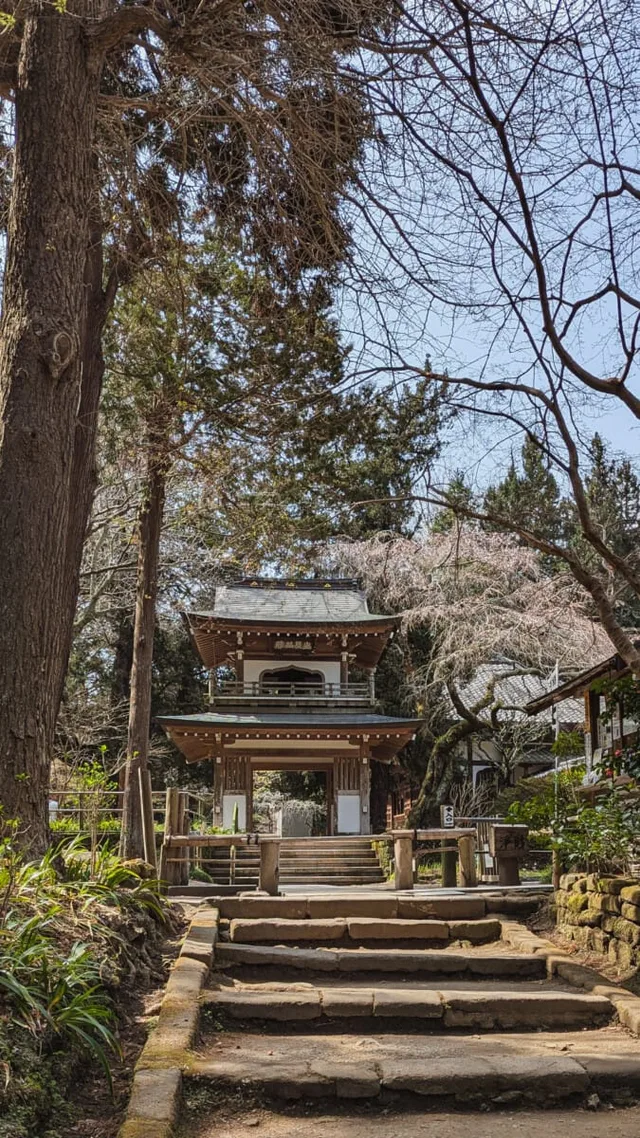 Japon-210.jpg