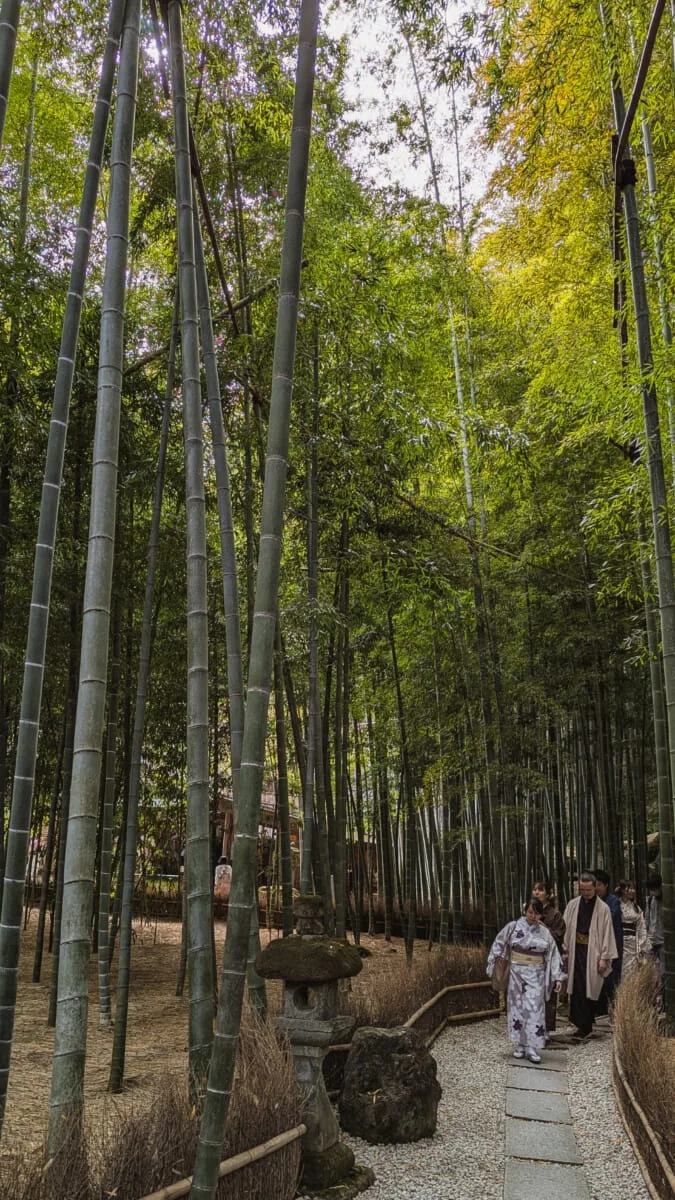 Hōkoku-ji, Kamakura, Japan