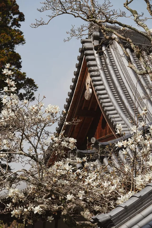 Kenchō-ji, Kamakura, Japan