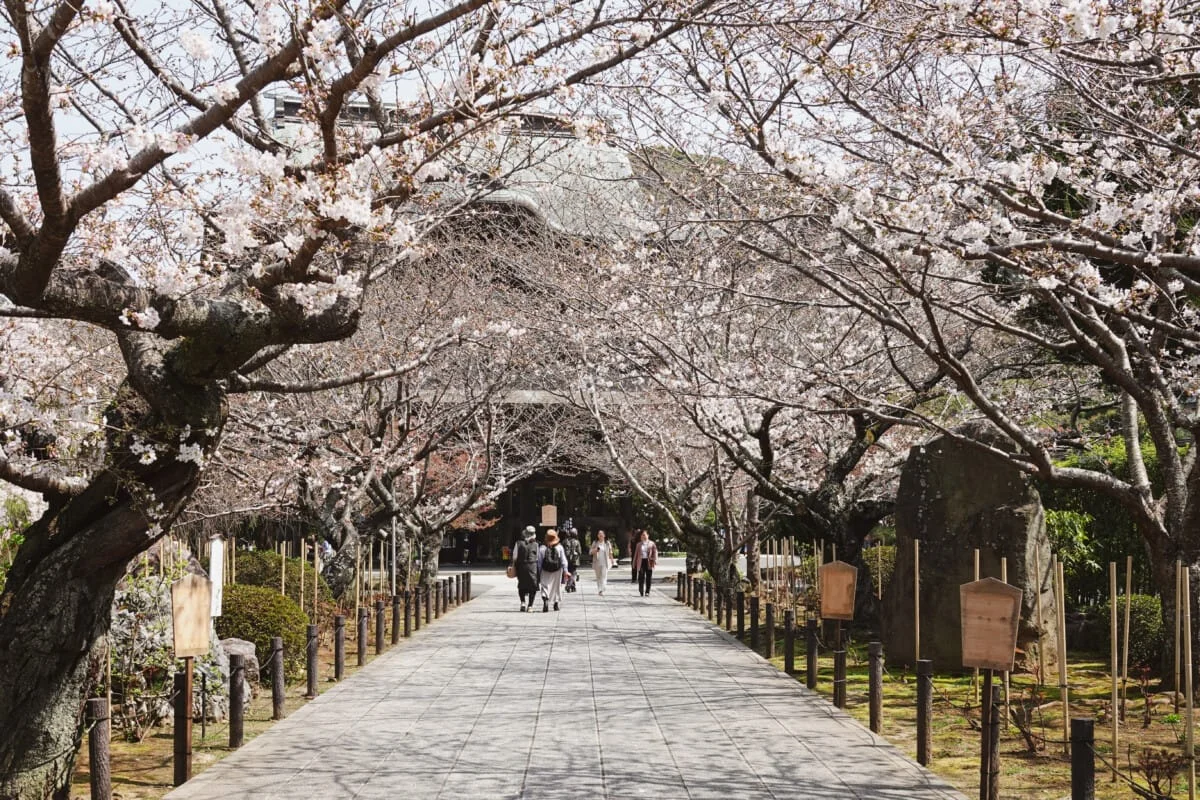Japon-377.jpg