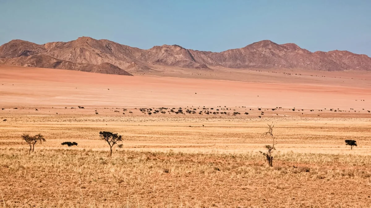 Namibie-Aus-11.jpg