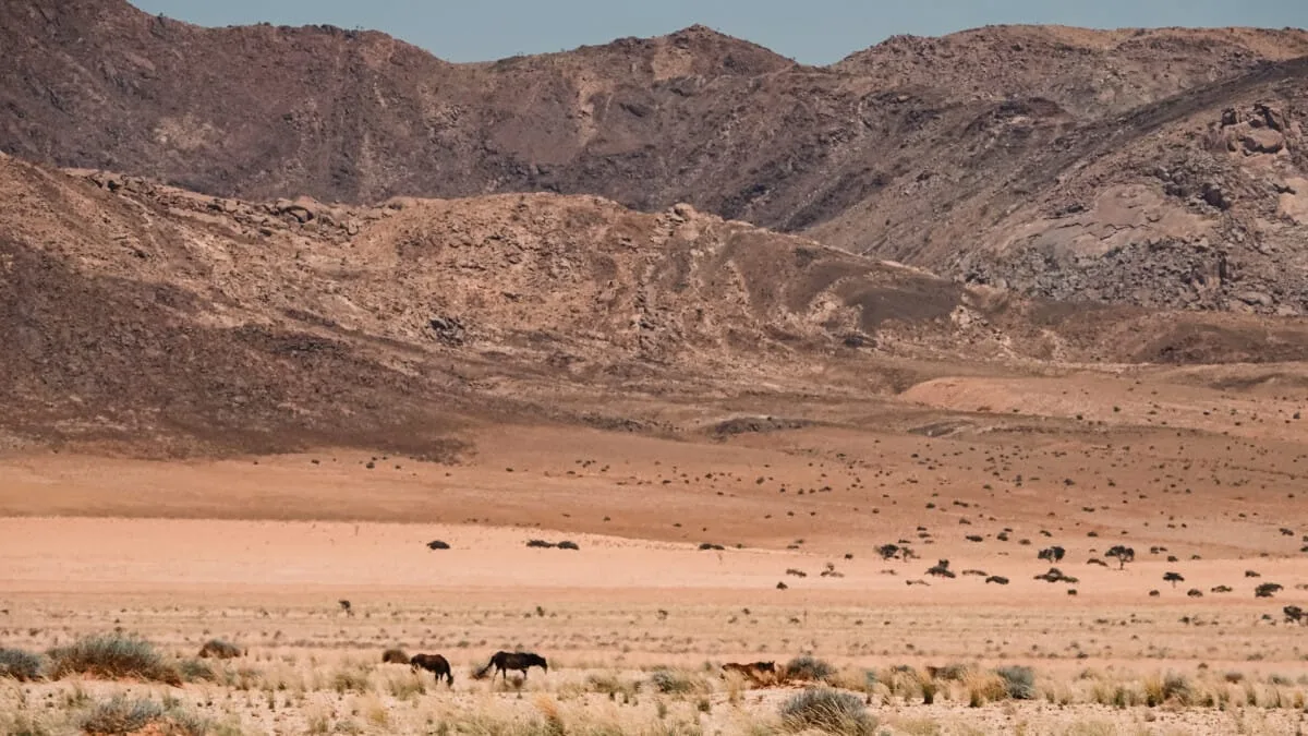 Namibie-Aus-16.jpg