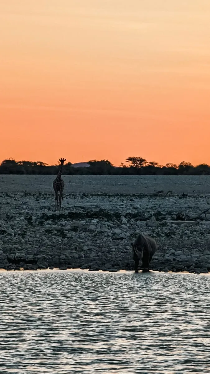 Namibie-Etosha-10.jpg
