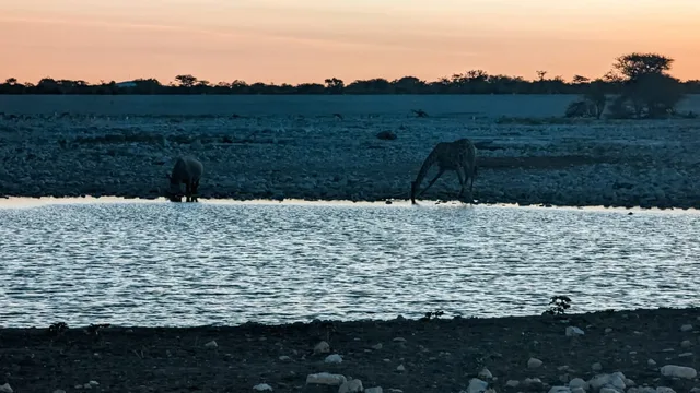 Namibie-Etosha-11.jpg