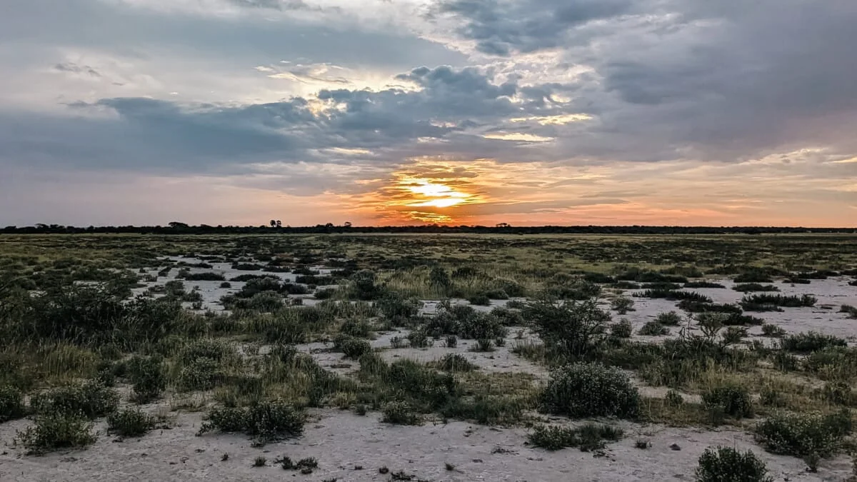 Namibie-Etosha-70.jpg