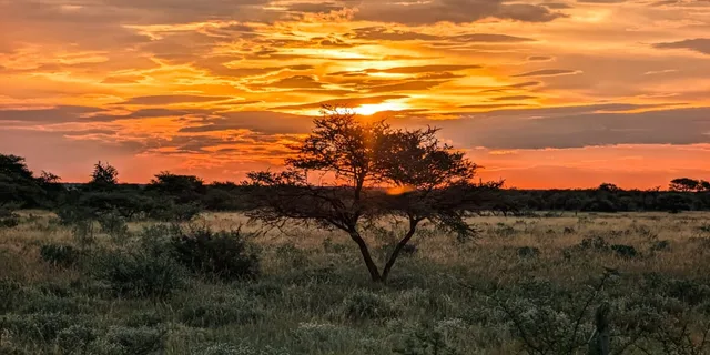 Namibie-Etosha-71.jpg