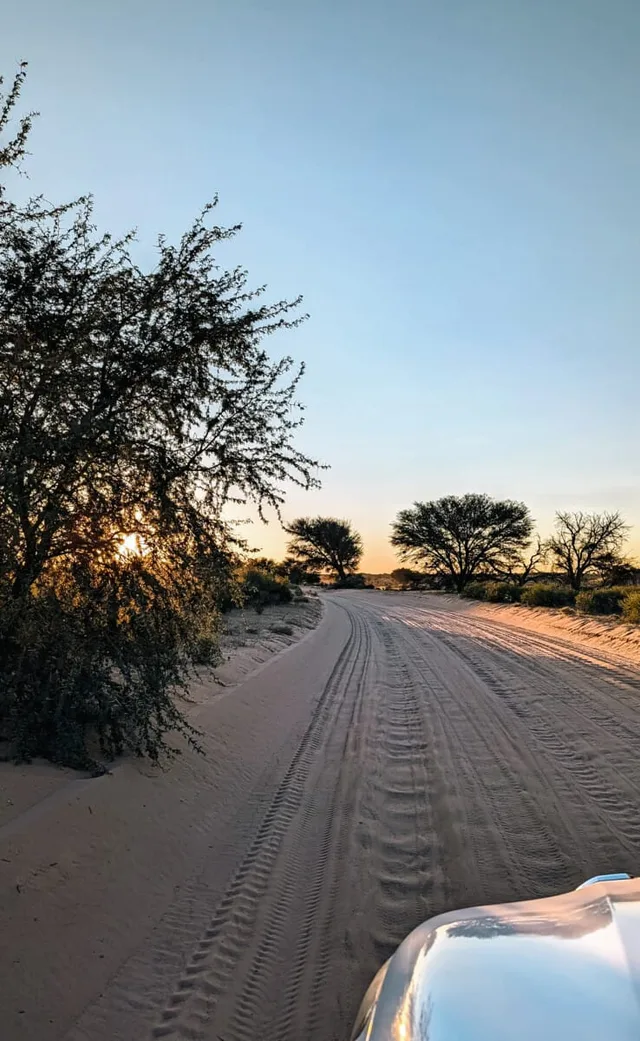 Namibie-Kalahari-02.jpg