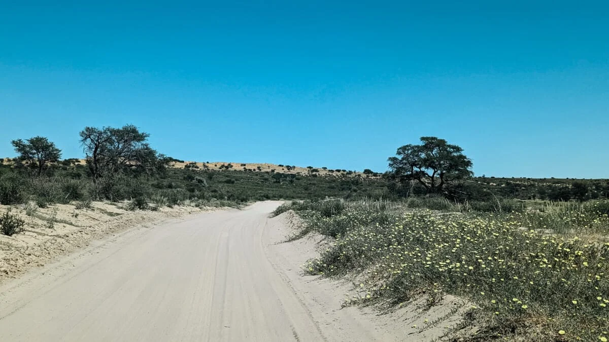 Namibie-Kalahari-23.jpg
