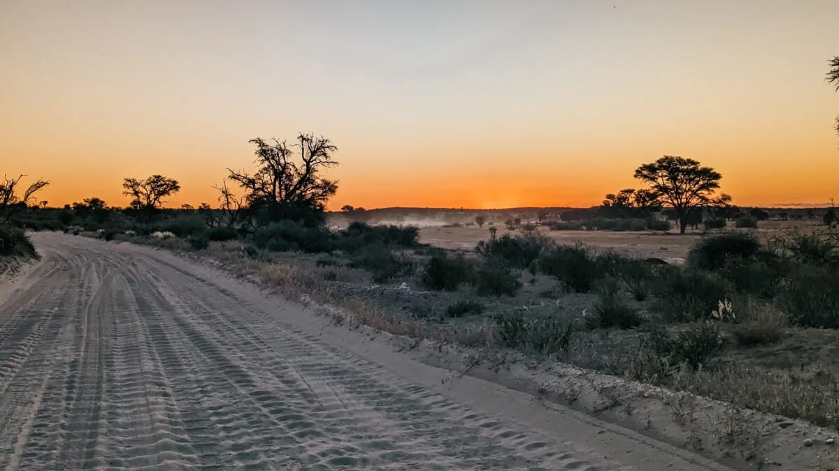 Namibie-Kalahari-29.jpg