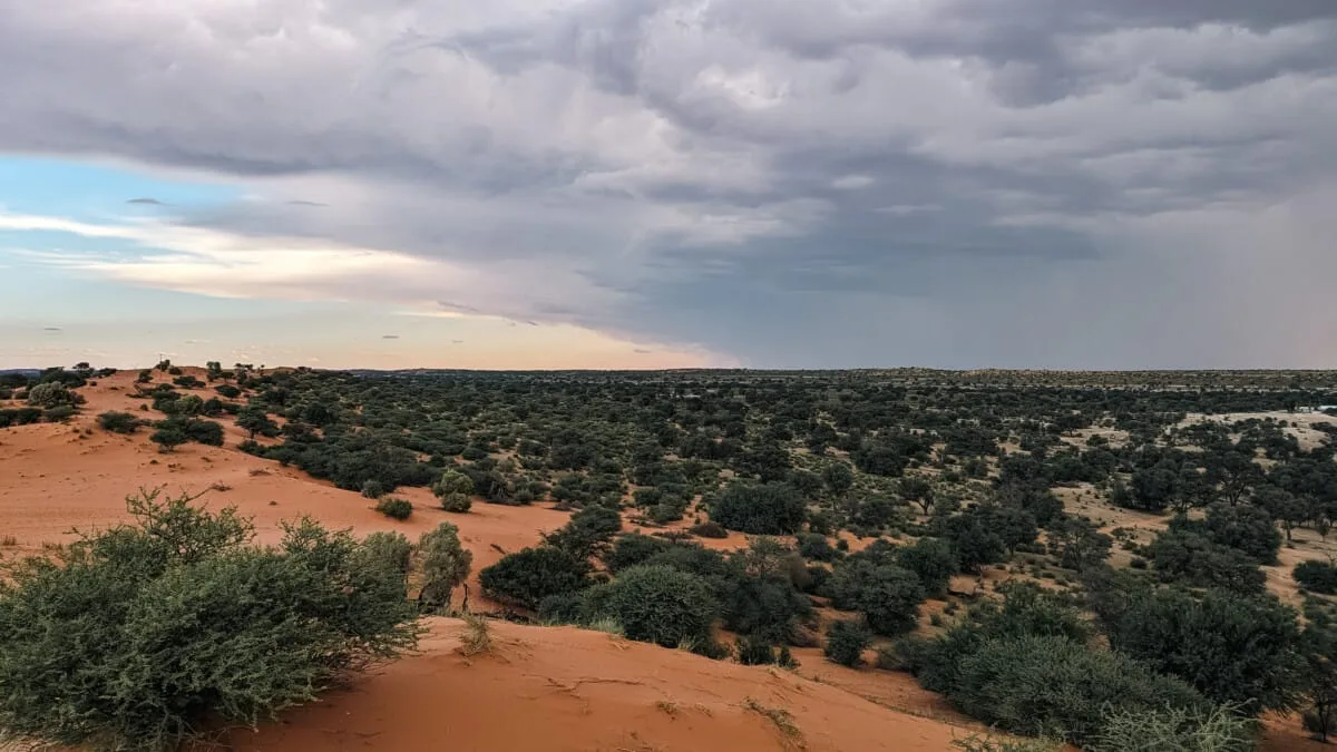 Namibie-Kalahari-40.jpg