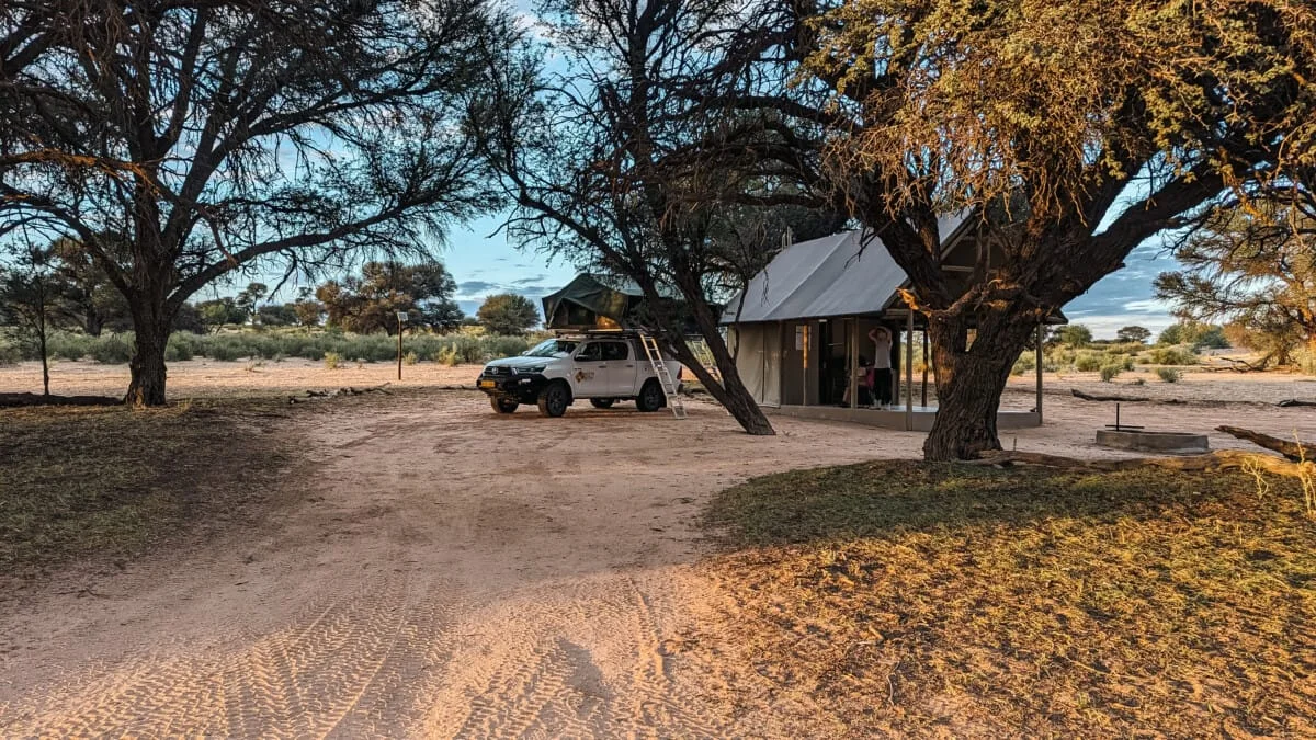 Namibie-Kalahari-42.jpg