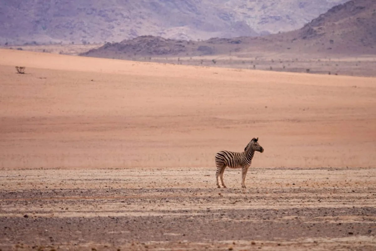 Namibie-Kanaan-23.jpg