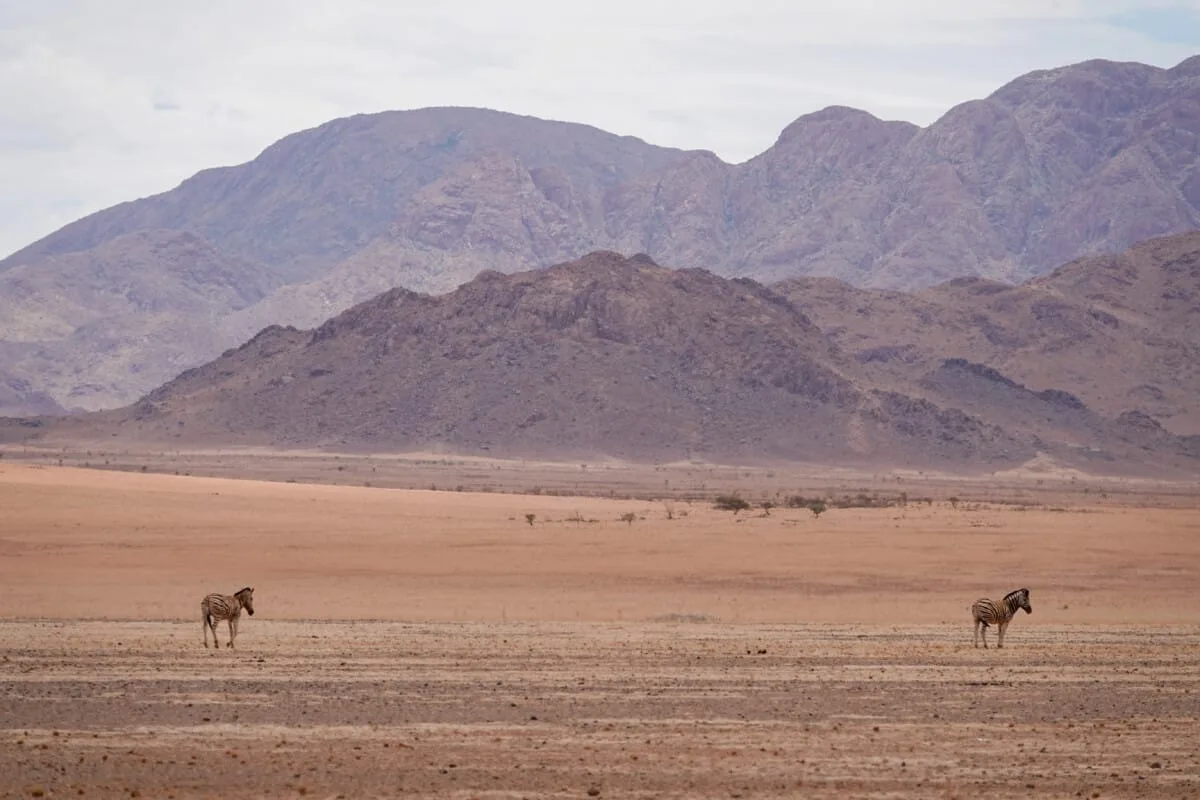 Namibie-Kanaan-24.jpg