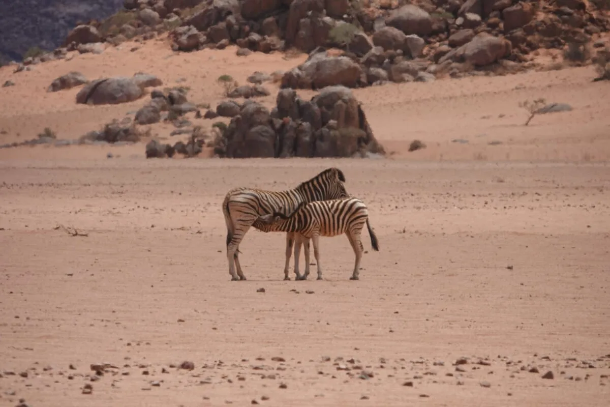 Namibie-Kanaan-26.jpg