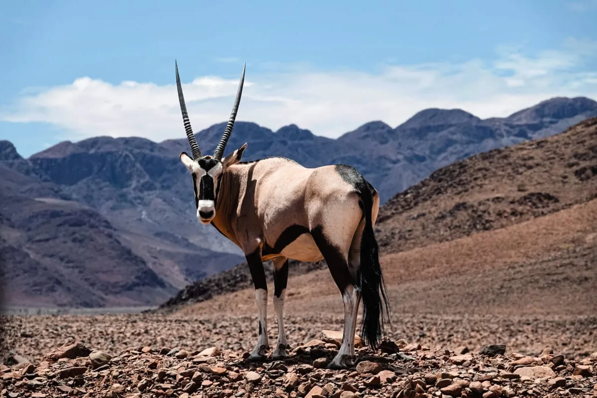 Namibie-Kanaan-28.jpg