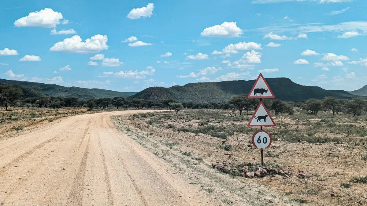 Namibie-Okonjima-01.jpg