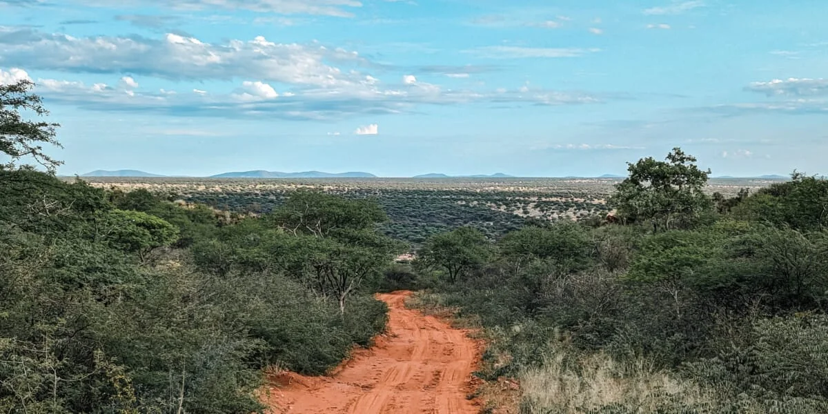 Namibie-Okonjima-16.jpg