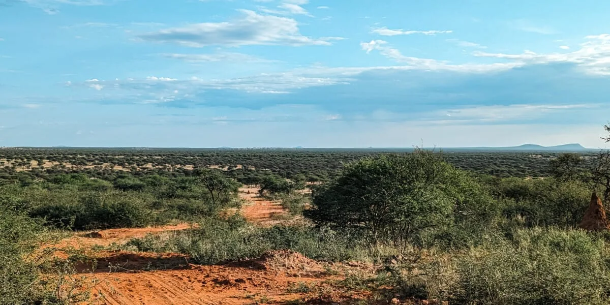 Namibie-Okonjima-17.jpg
