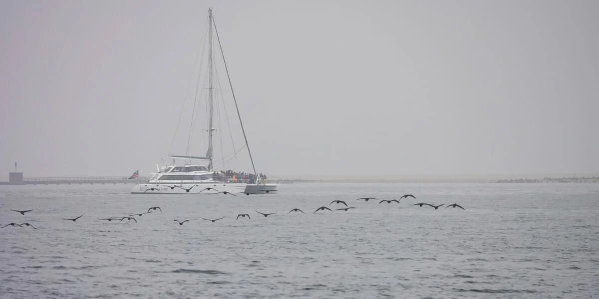 Namibie-Sandwich-Harbour-21.jpg