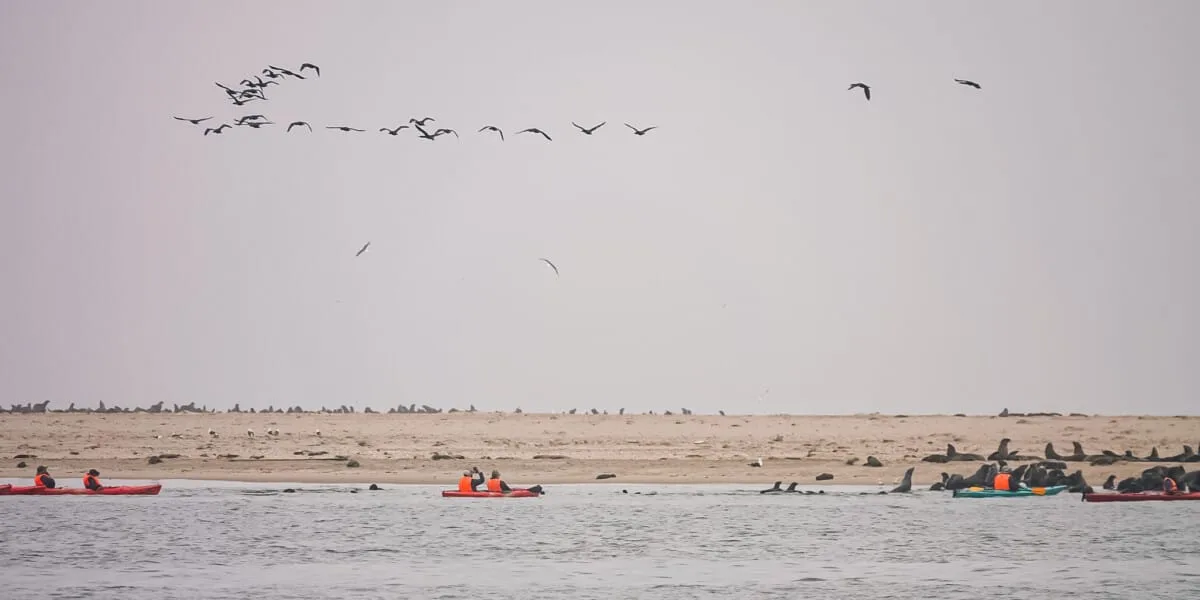 Namibie-Sandwich-Harbour-22.jpg