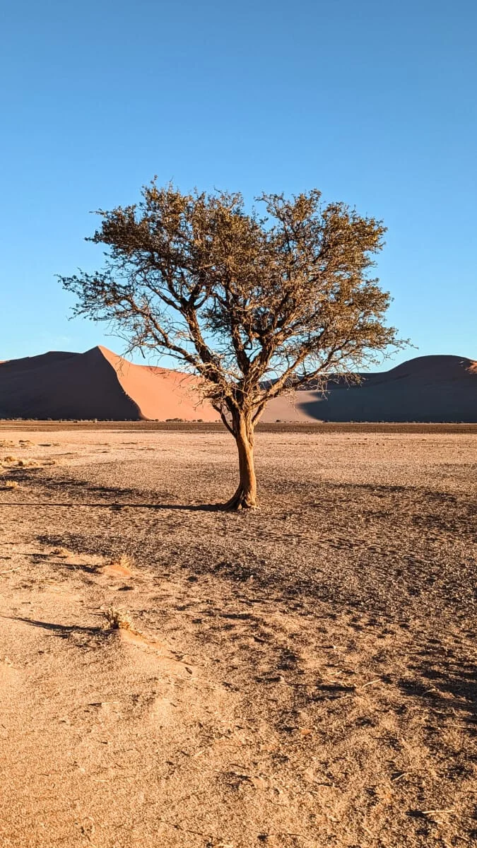 Namibie-Sesriem-28.jpg