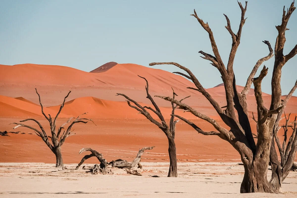 Namibie-Sesriem-41.jpg