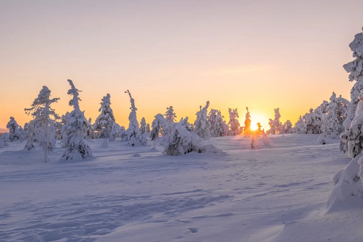 Paysage-1.jpg