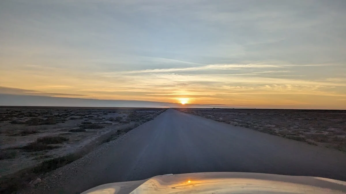 PXL_20240308_050321418.jpg