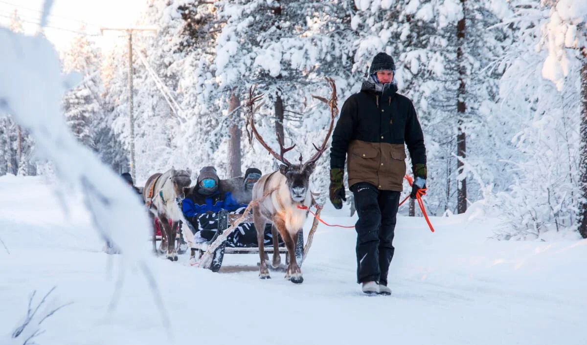 reindeer-sleigh-ride_40170909823_o.jpg