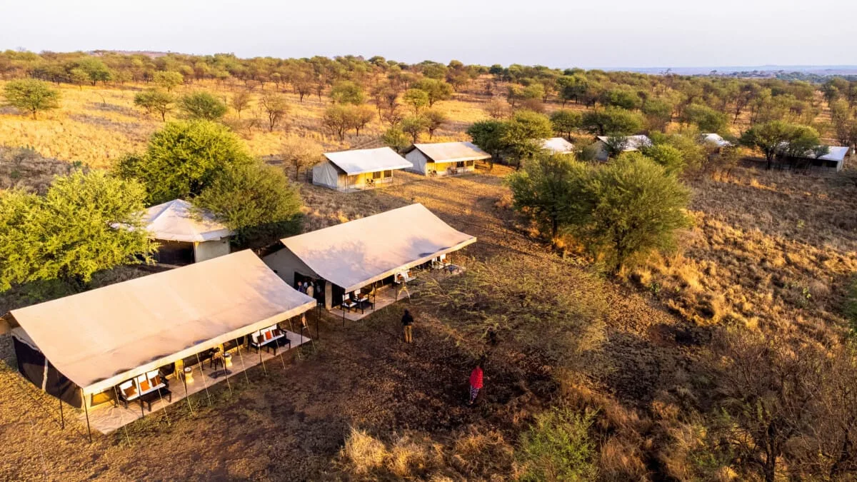 Serengeti-Wildlands-Camp.jpg